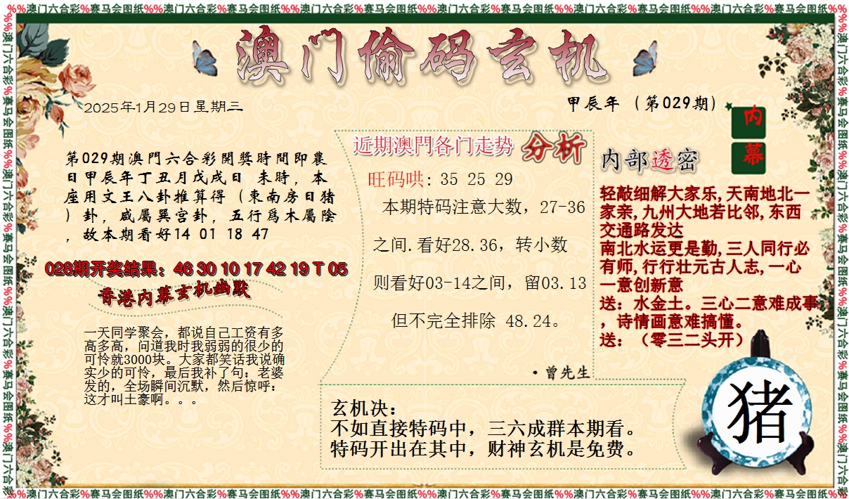 2025029期偷码玄机