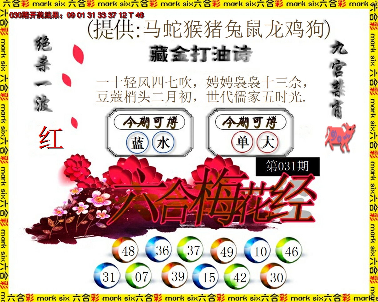 2025031期六合梅花经