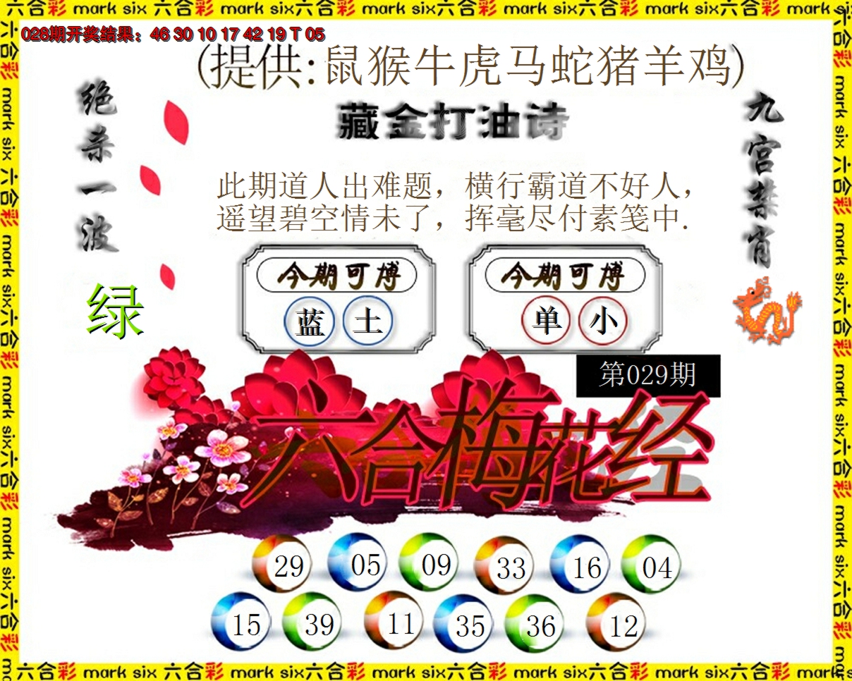 2025029期六合梅花经