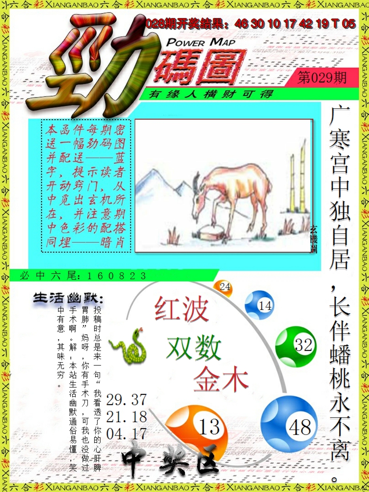 2025029期劲码图