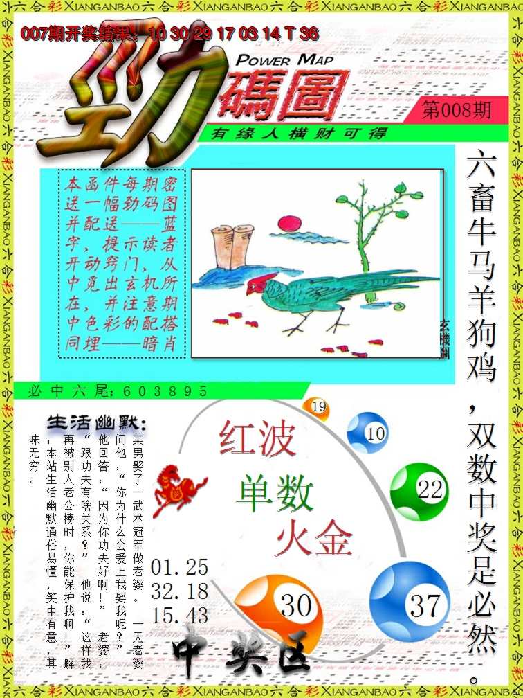2025008期劲码图