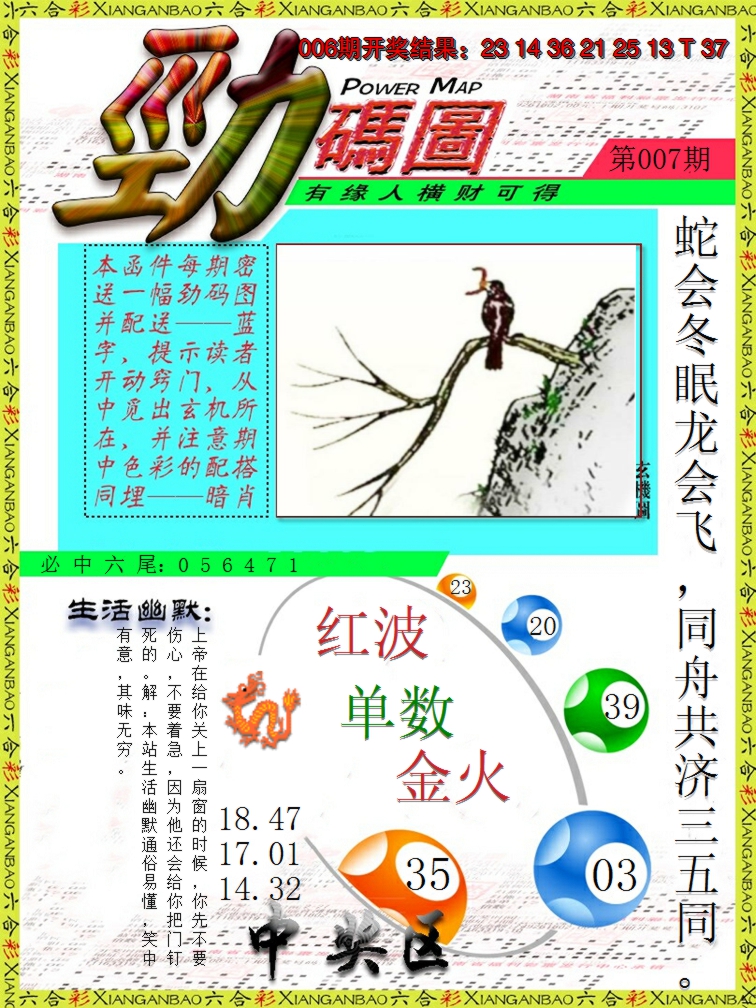 2025007期劲码图