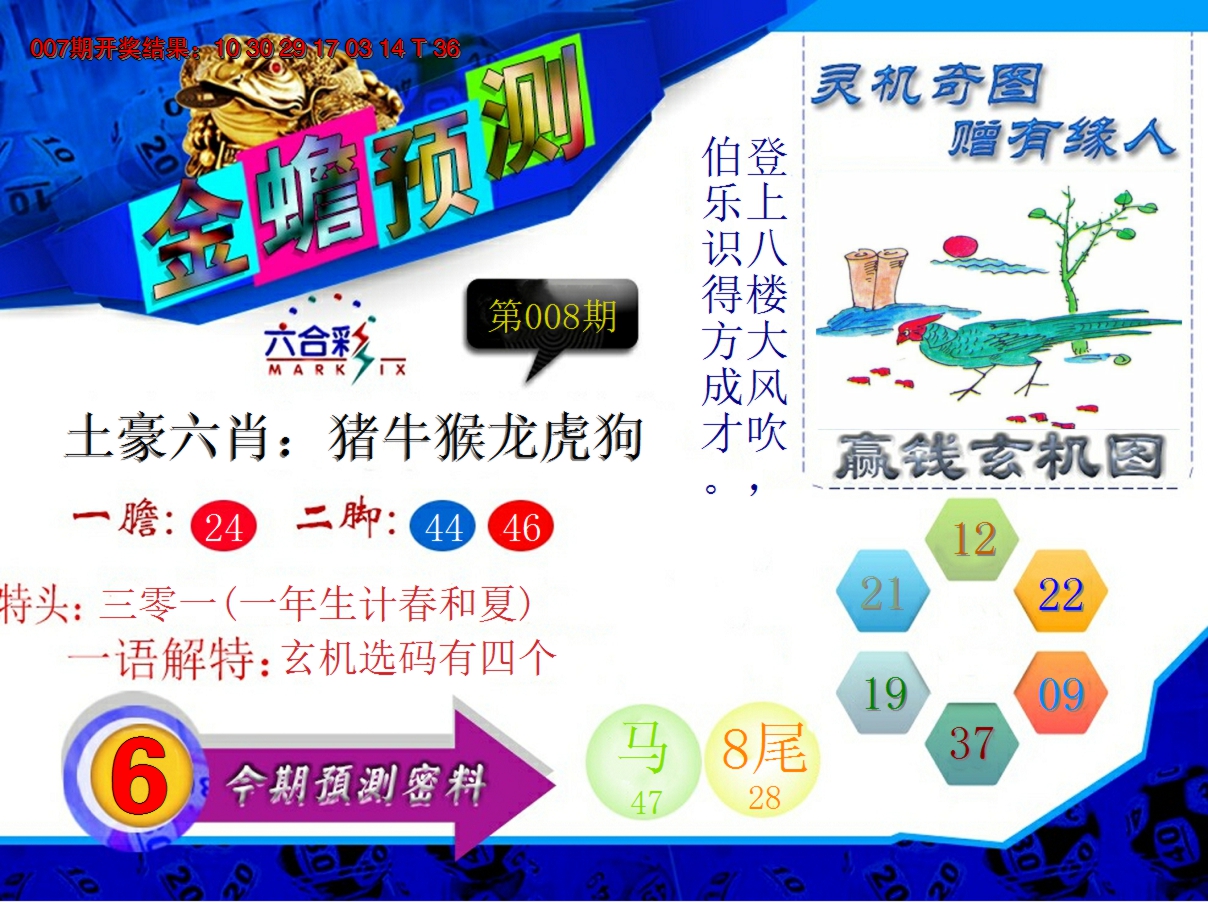 2025008期金蟾预测