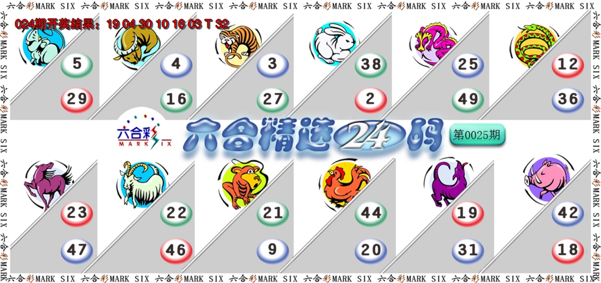 2025025期六合精选24码