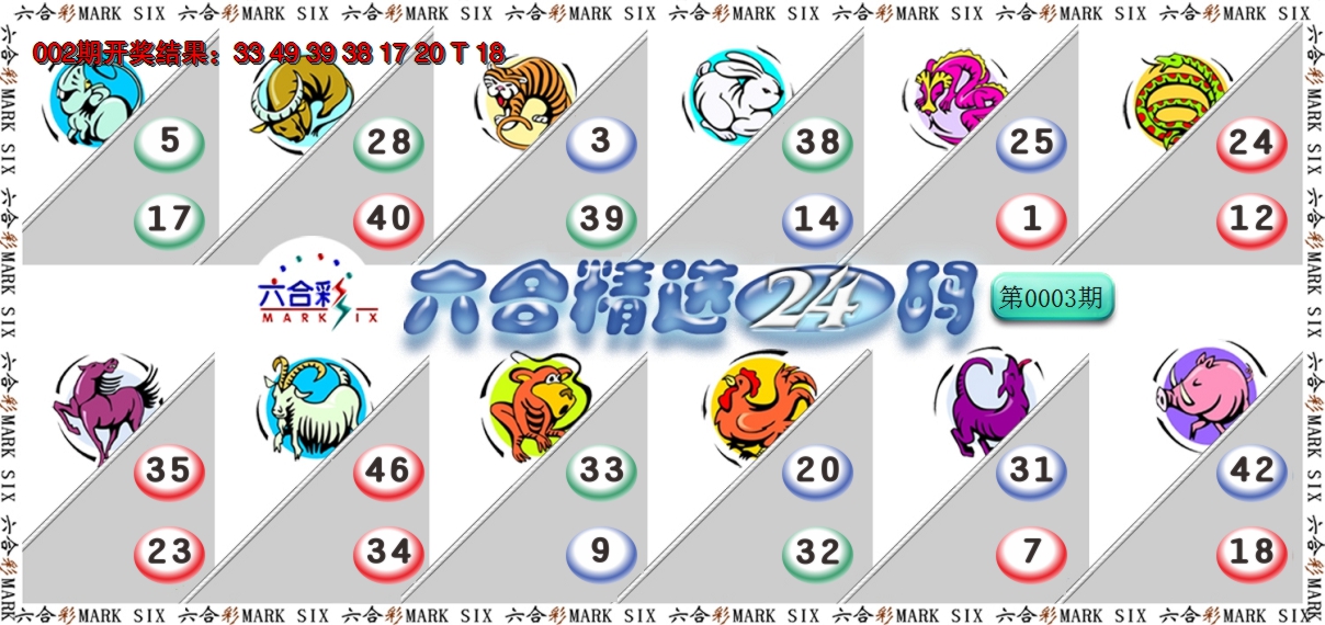 2025003期六合精选24码