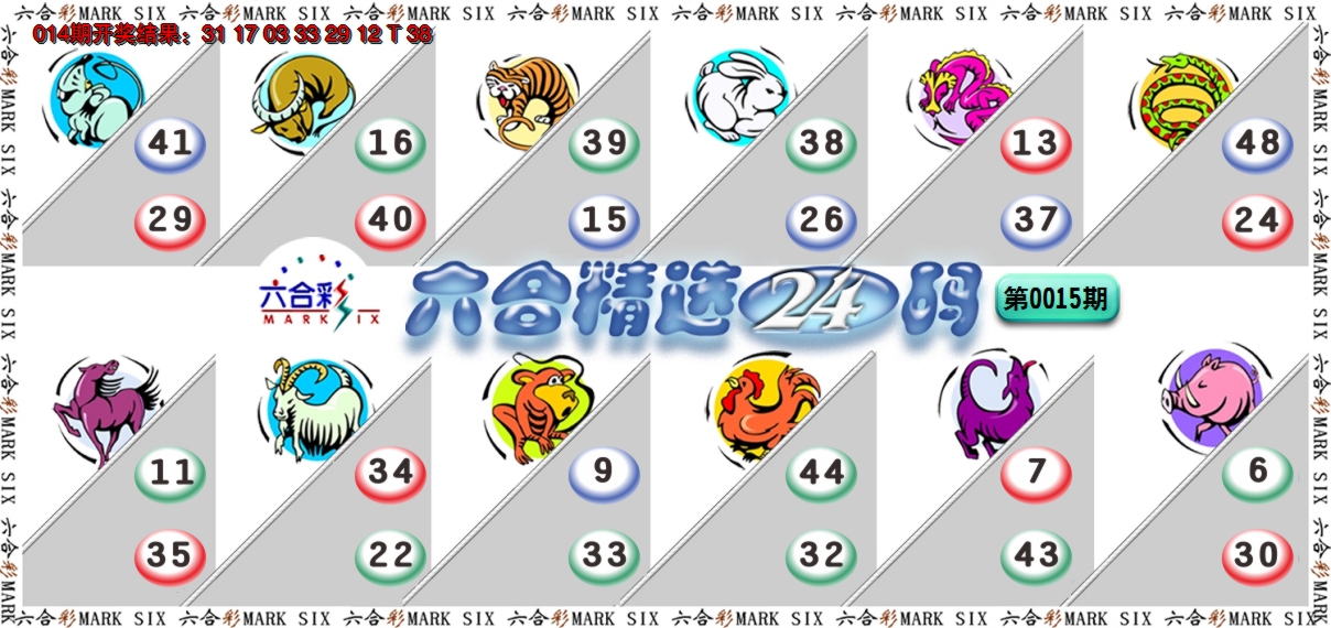 2025015期六合精选24码