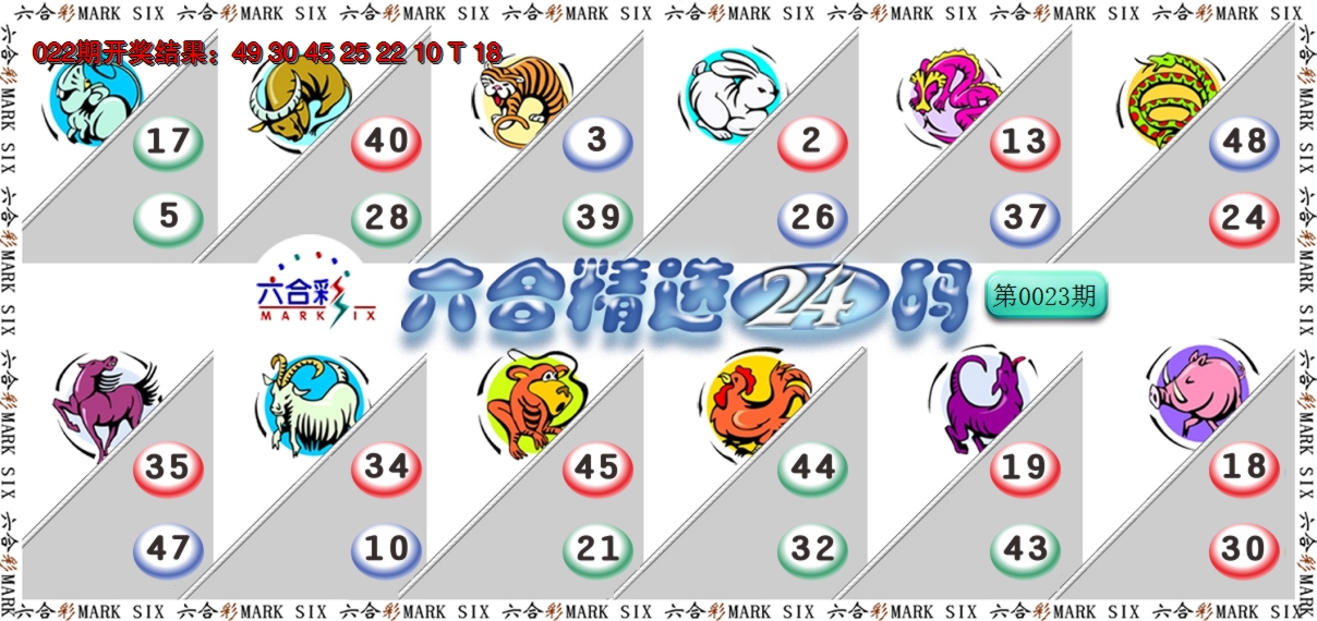 2025023期六合精选24码