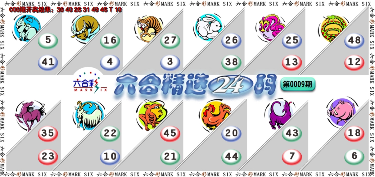 2025009期六合精选24码