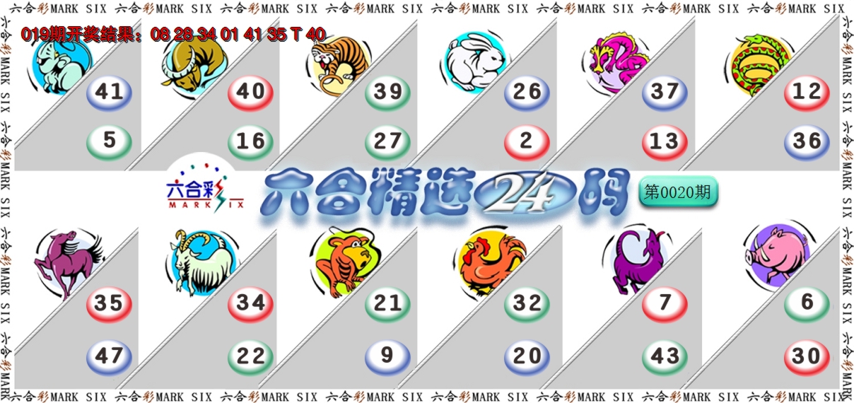 2025020期六合精选24码