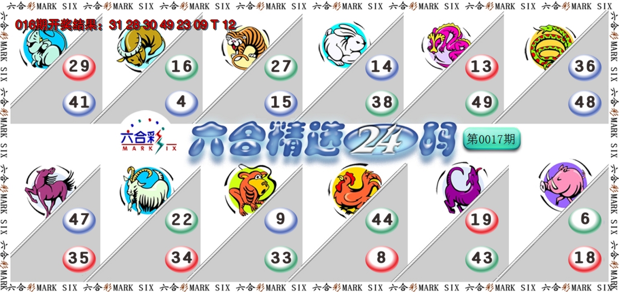 2025017期六合精选24码