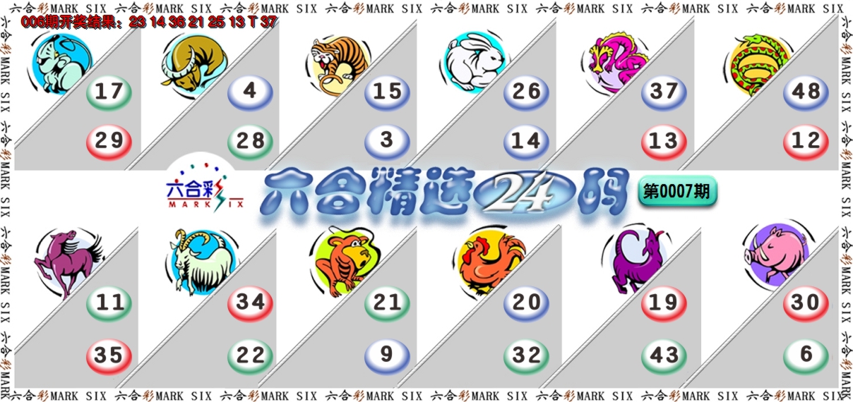 2025007期六合精选24码