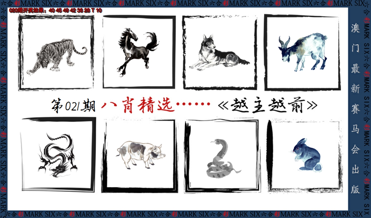 2025021期八肖精选