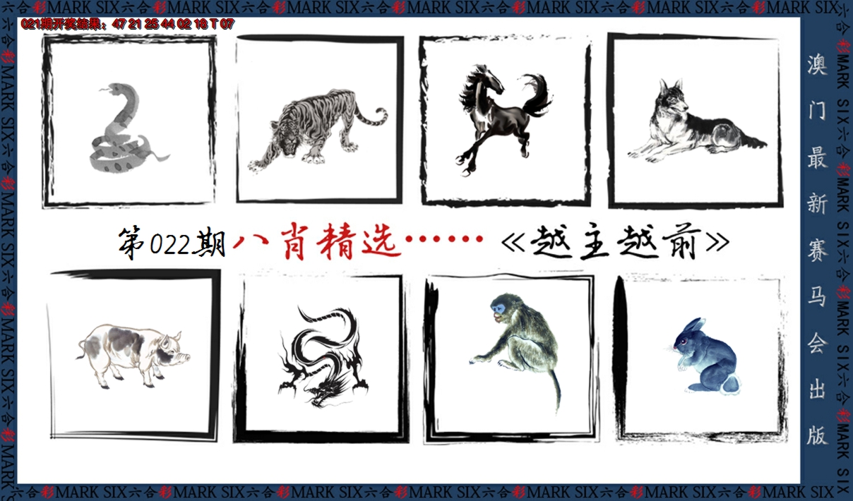 2025022期八肖精选