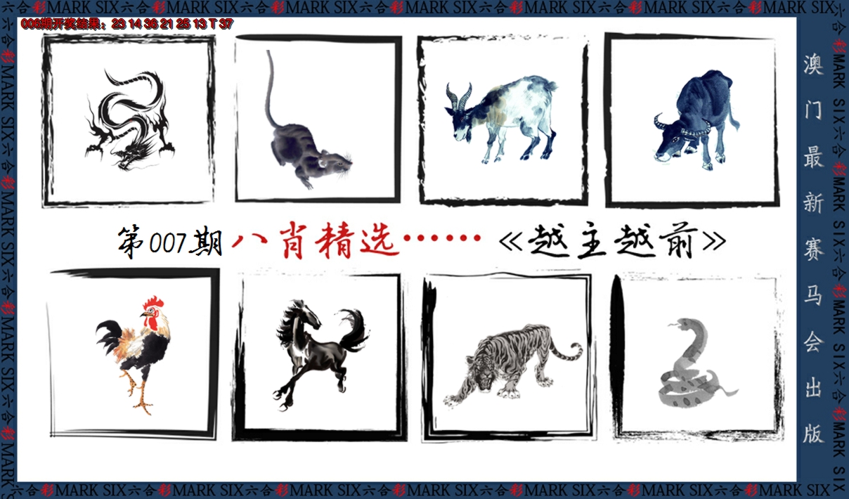 2025007期八肖精选
