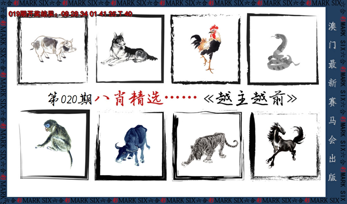 2025020期八肖精选