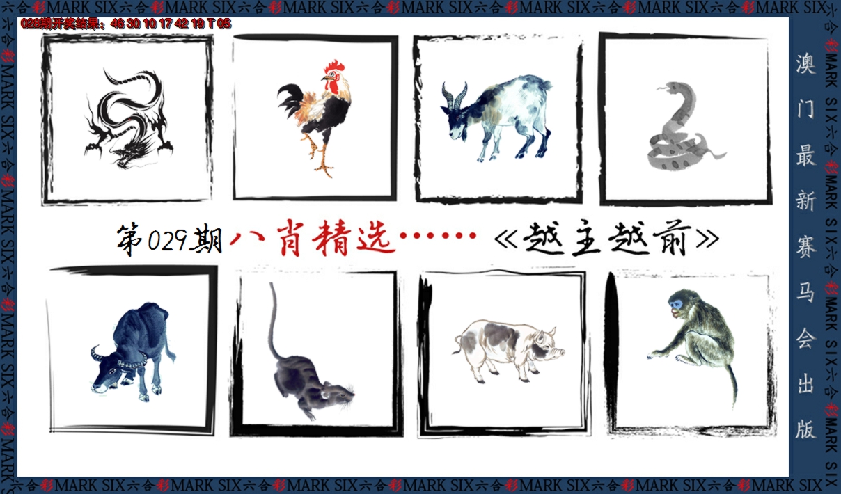 2025029期八肖精选