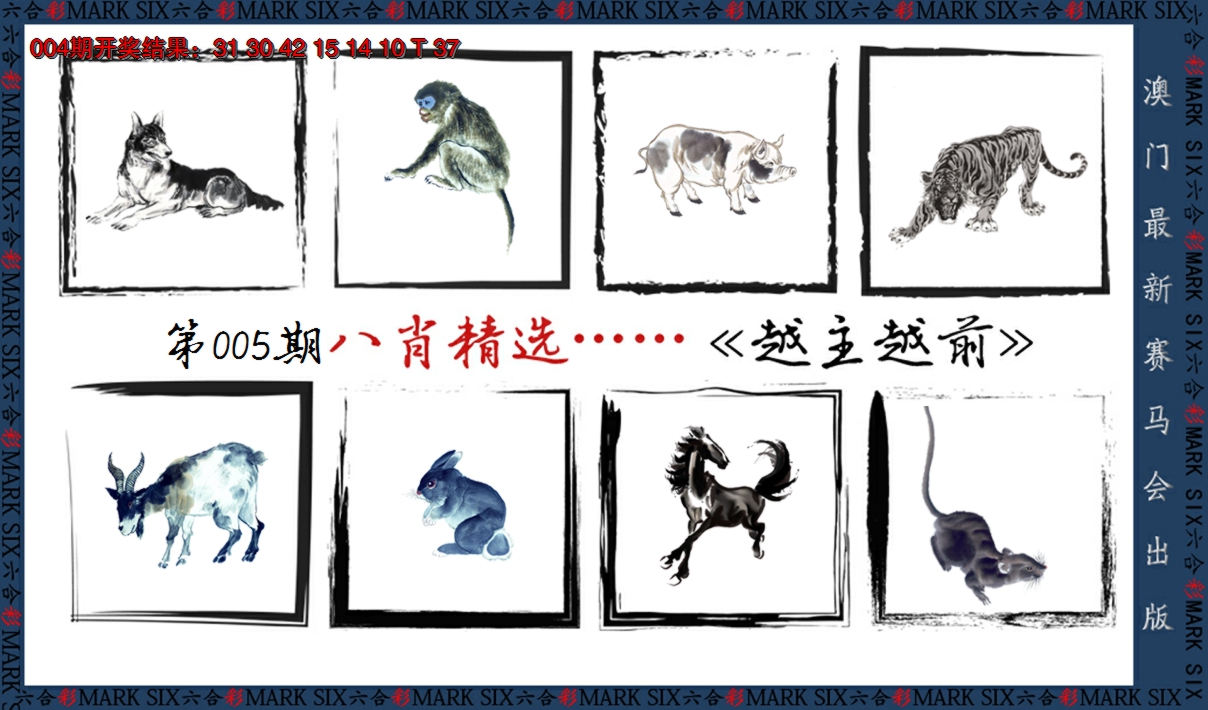 2025005期八肖精选