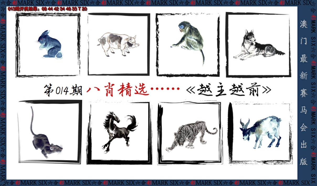 2025014期八肖精选