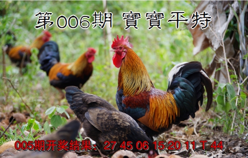 2025006期宝宝平特
