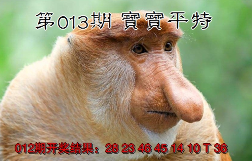 2025013期宝宝平特
