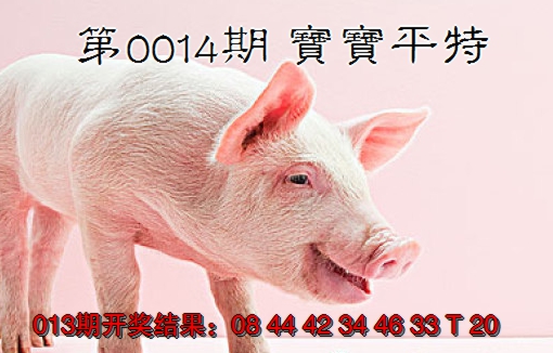 2025014期宝宝平特