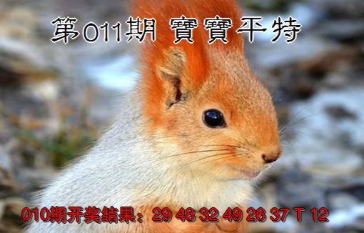2025011期宝宝平特