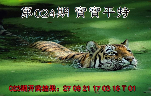 2025024期宝宝平特