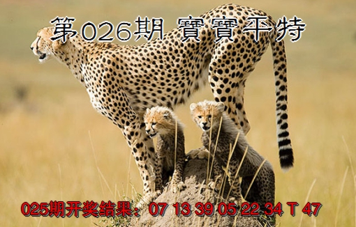 2025026期宝宝平特
