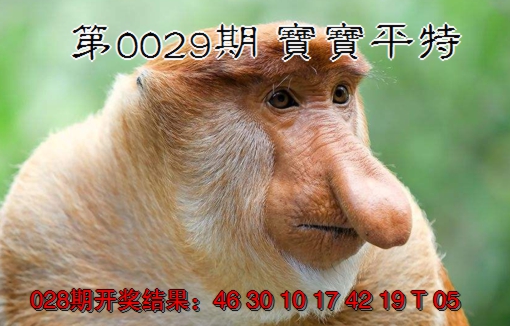 2025029期宝宝平特