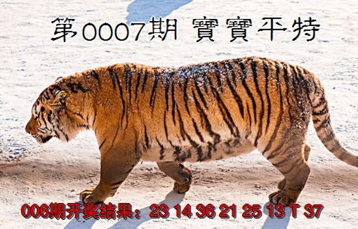 2025007期宝宝平特