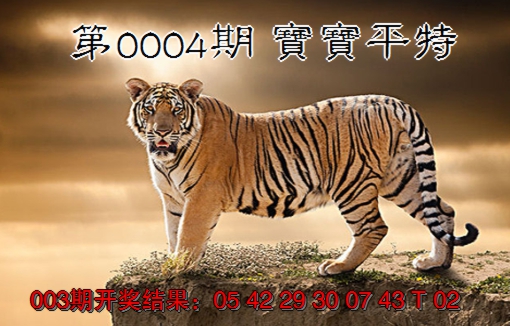 2025004期宝宝平特