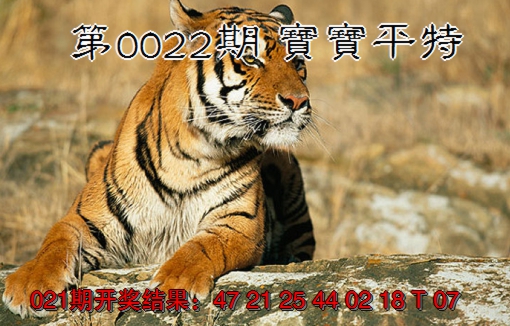 2025022期宝宝平特