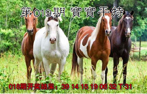2025019期宝宝平特