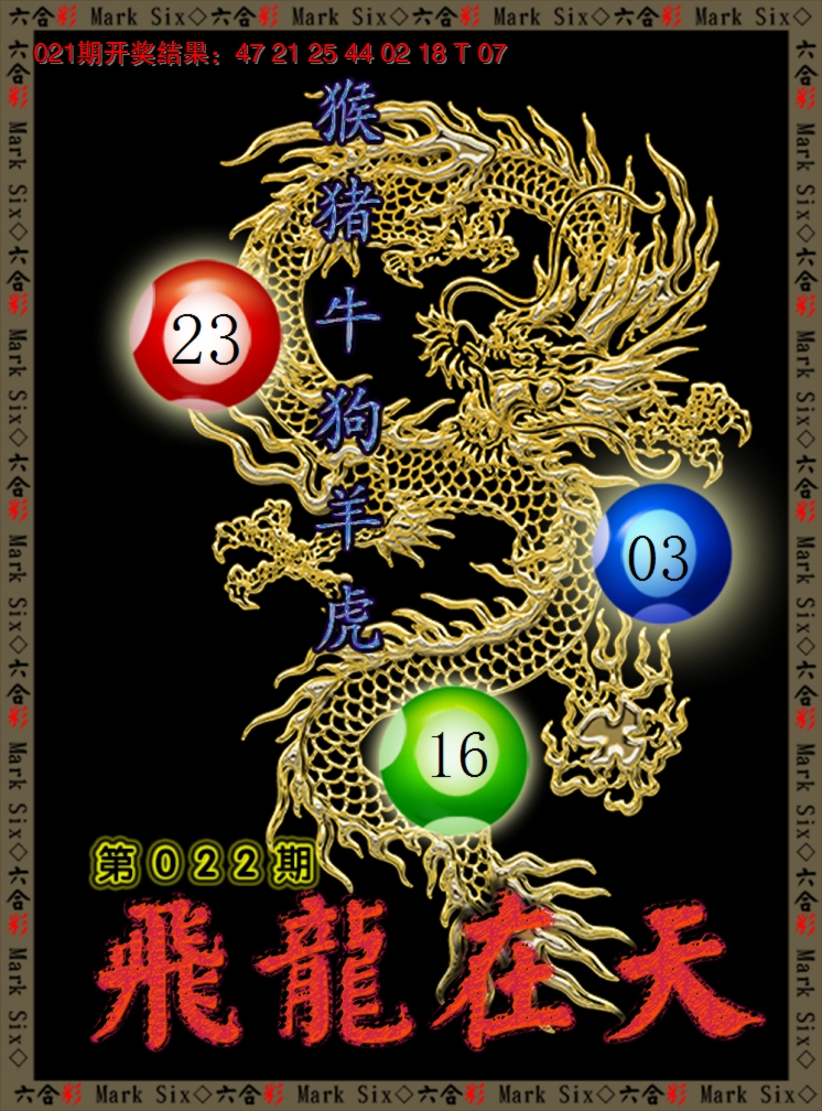 2025022期飞龙在天