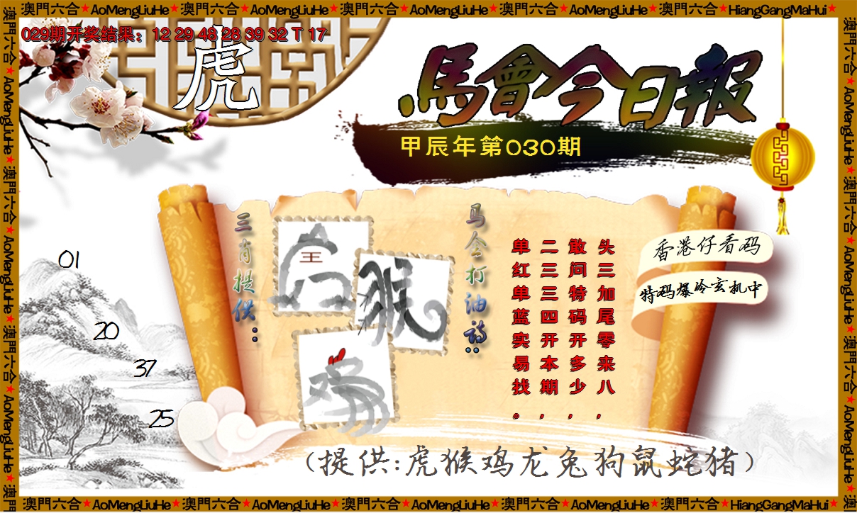 2025030期马会今日报