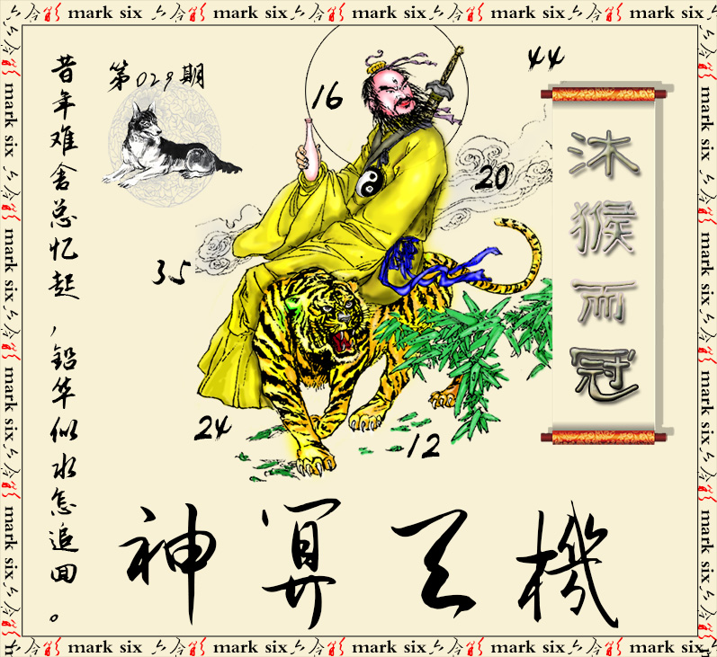2025029期神算玄机
