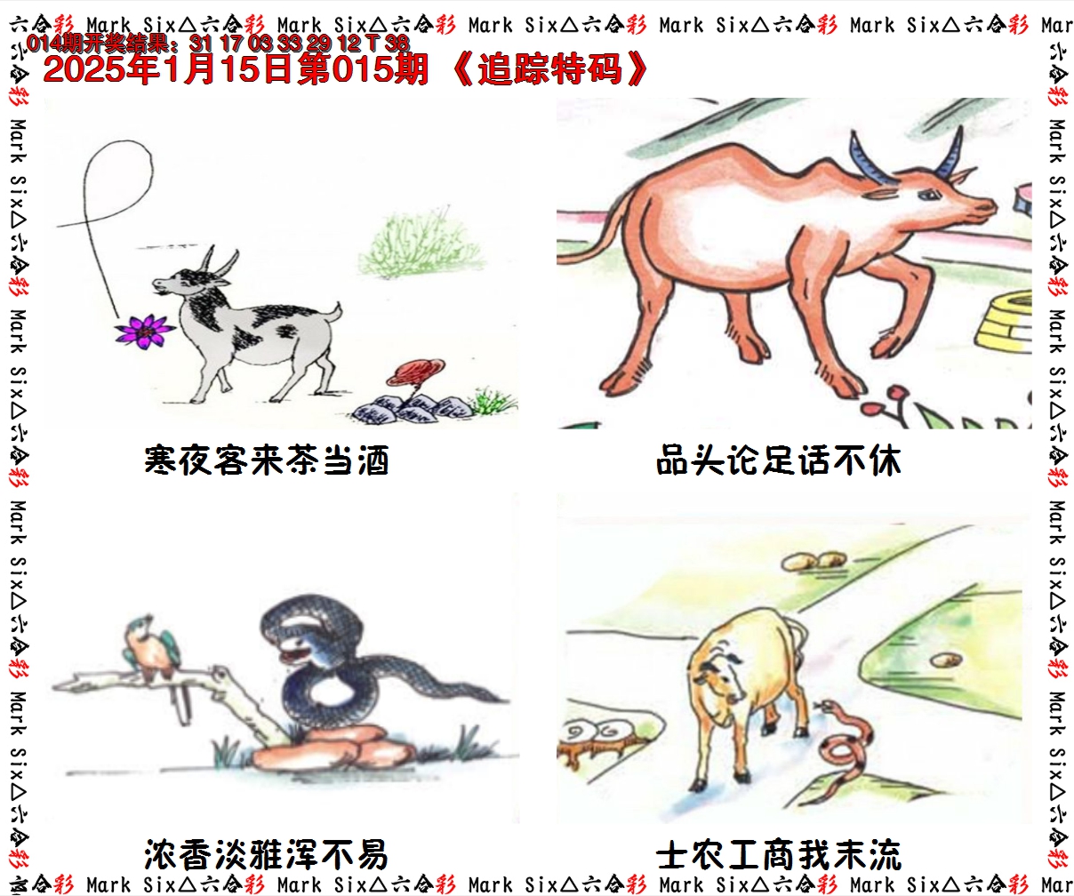 2025015期追踪特码