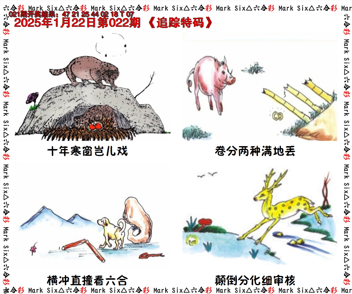 2025022期追踪特码