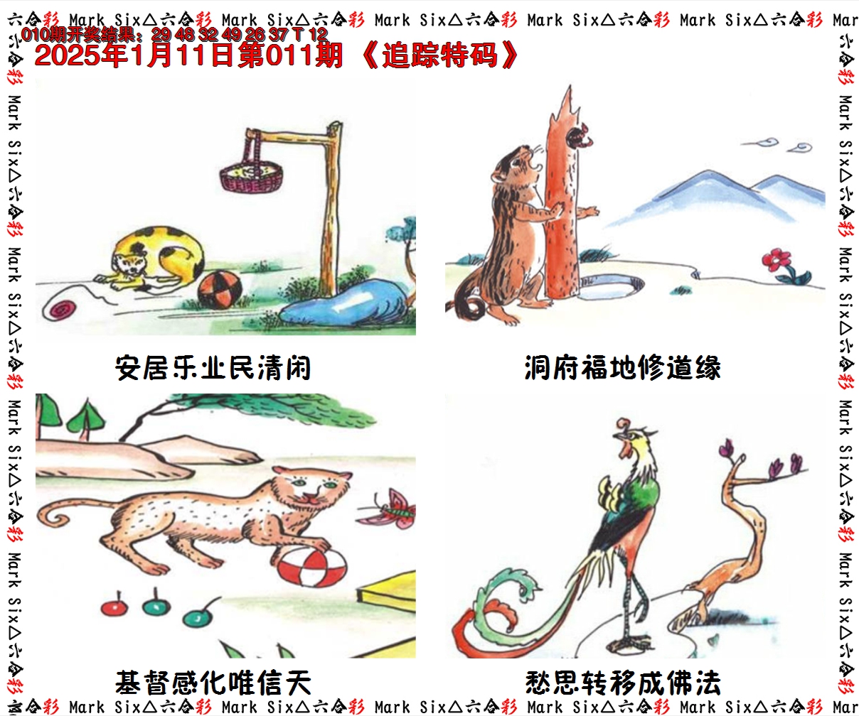 2025011期追踪特码