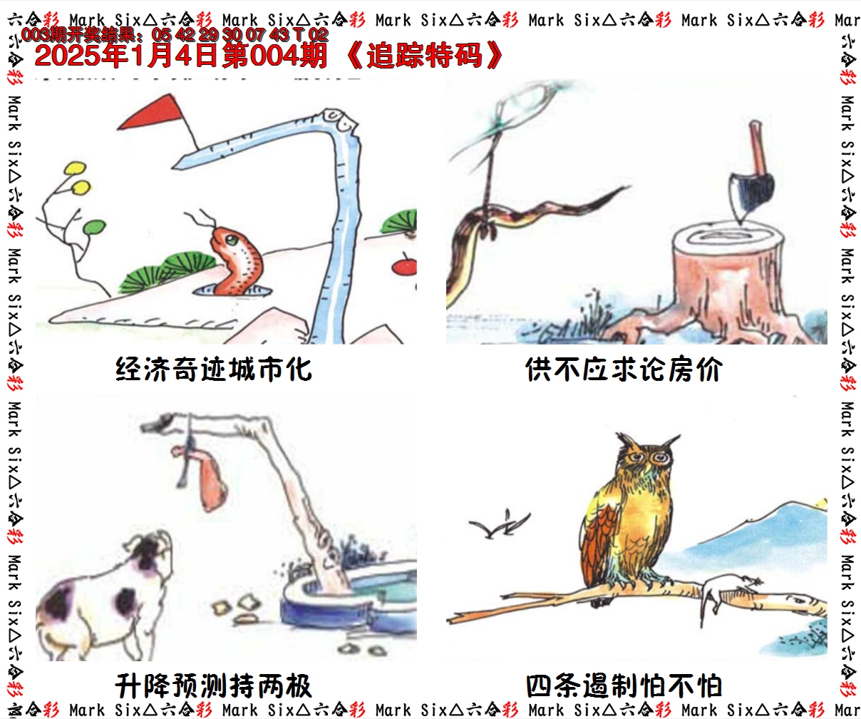 2025004期追踪特码