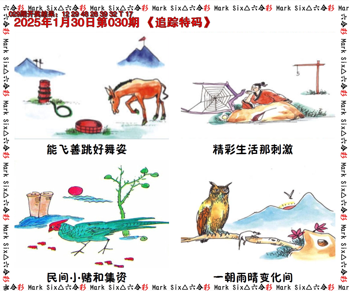 2025030期追踪特码