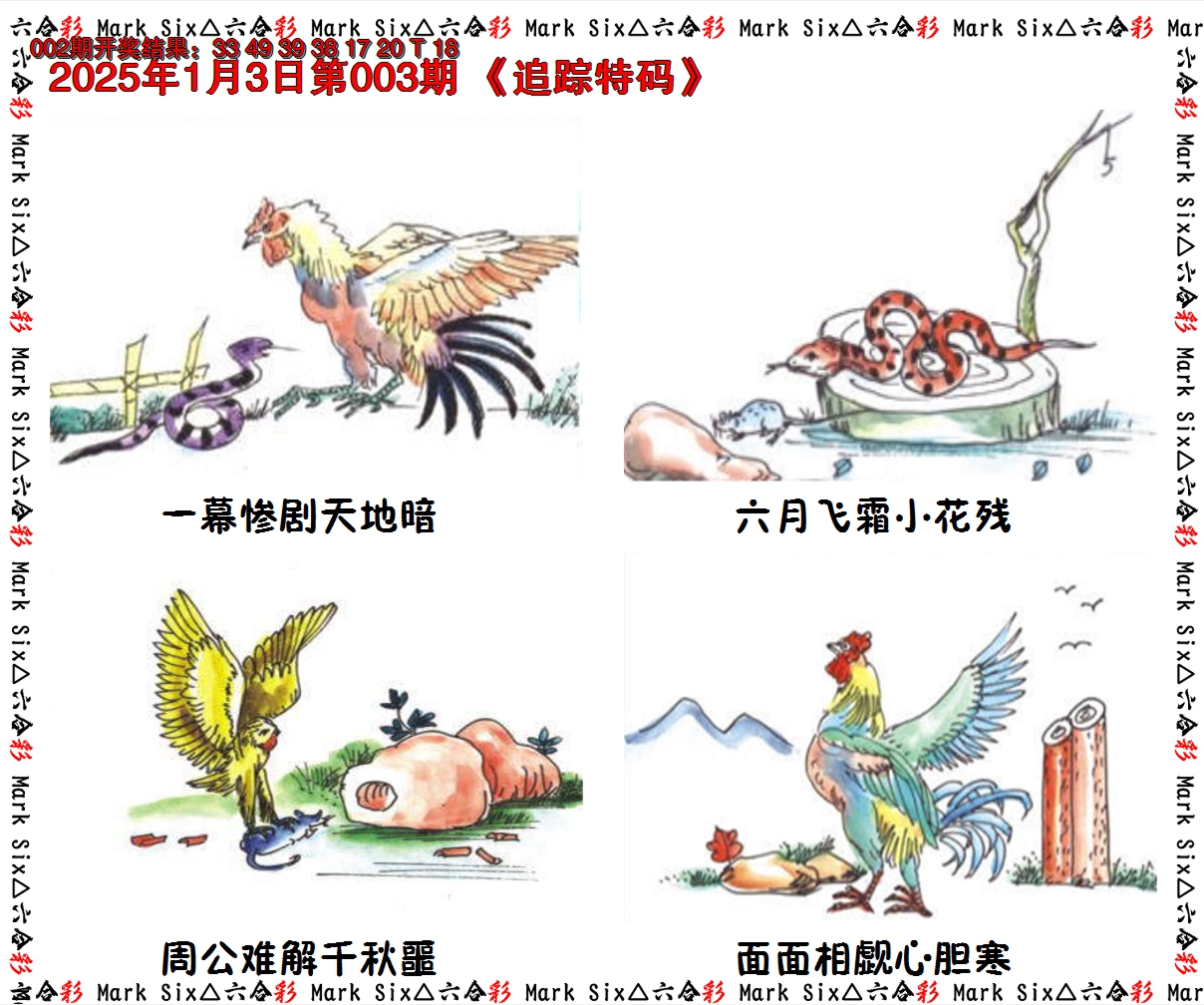 2025003期追踪特码