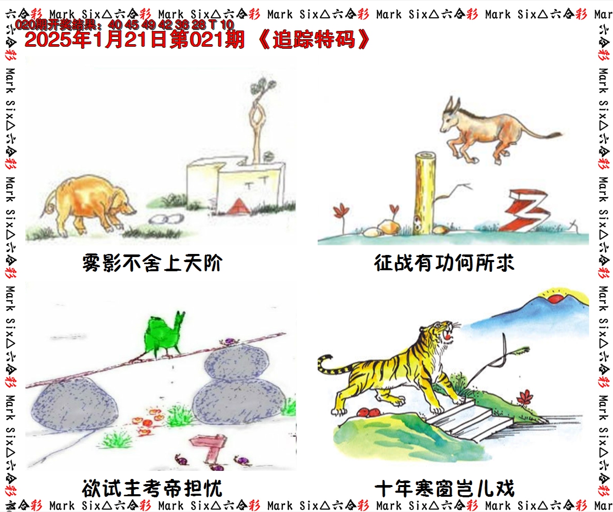 2025021期追踪特码