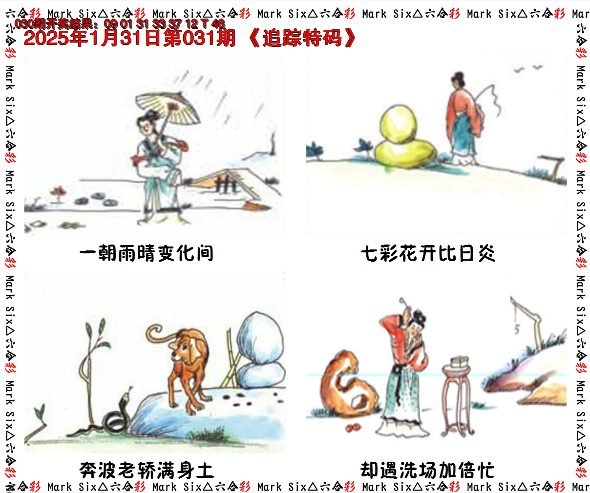 2025031期追踪特码