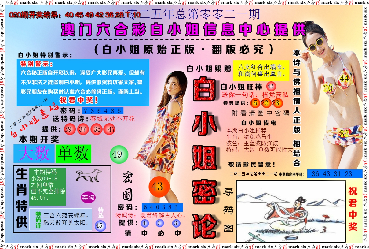 2025021期白小姐密论