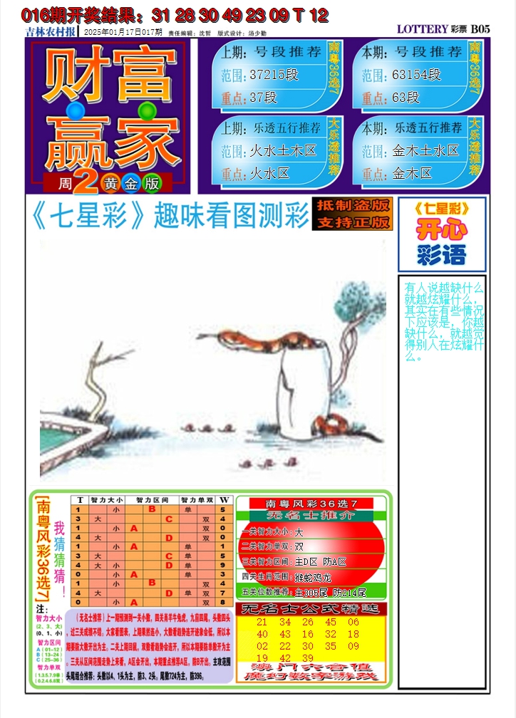 2025017期七星彩图A