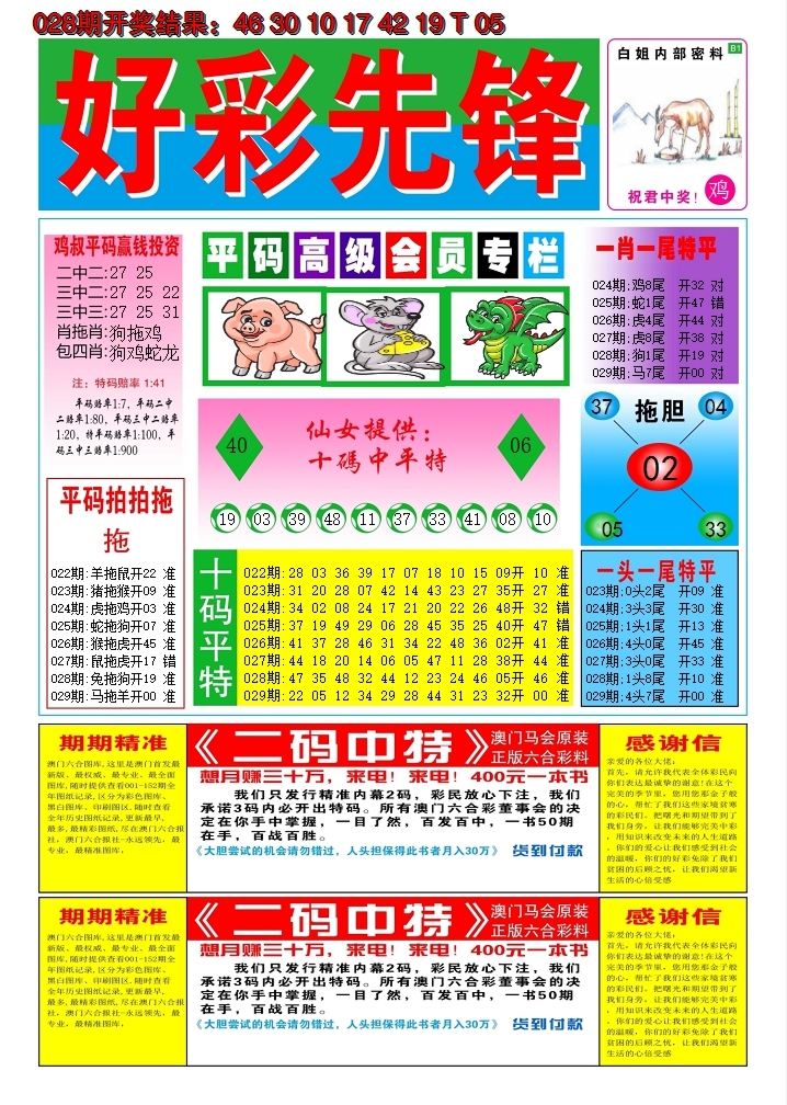 2025029期好彩先锋D