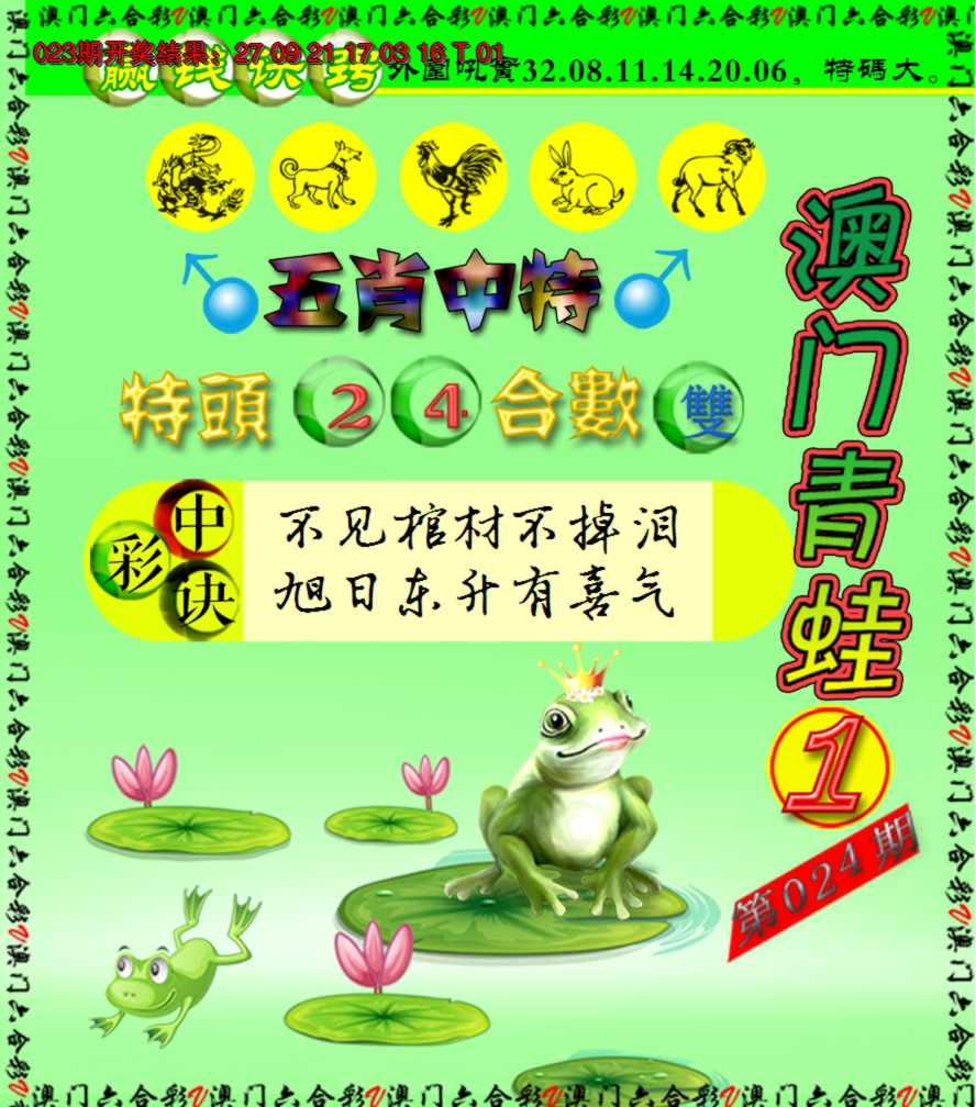 2025024期青蛙系列1