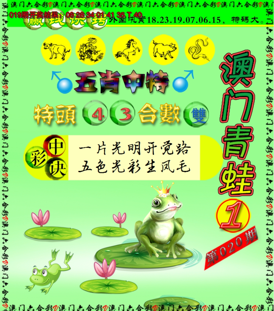 2025020期青蛙系列1