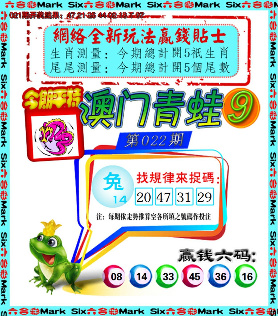 2025022期青蛙系列9